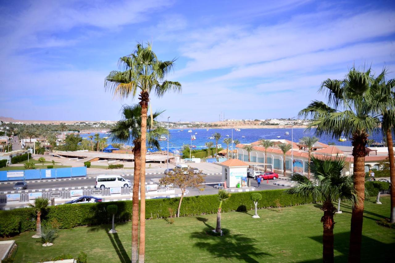 Standard Room Sea View Egyptians Residents Only