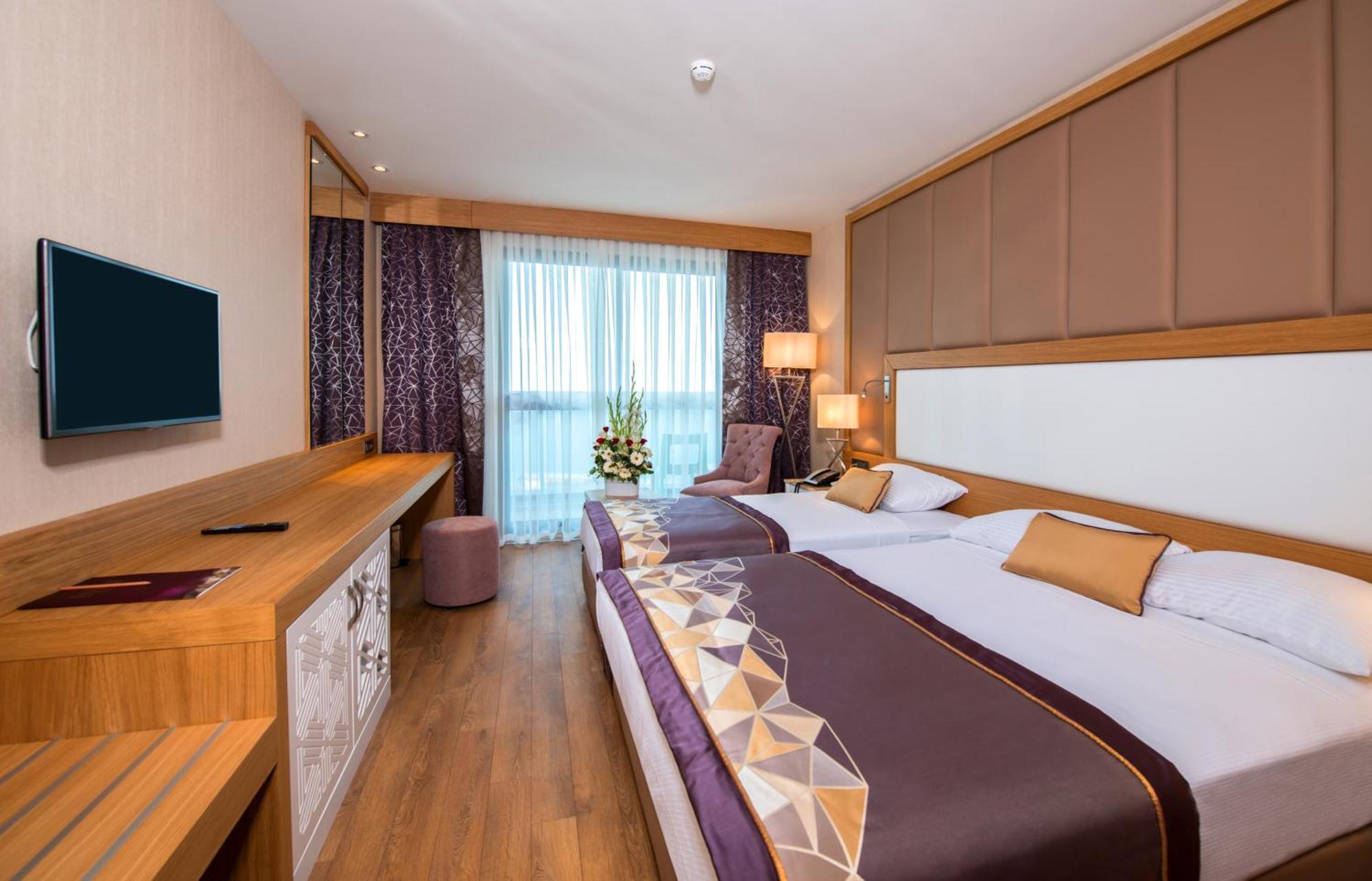 Double or Twin Room Mountain View,676018380:JPEG
