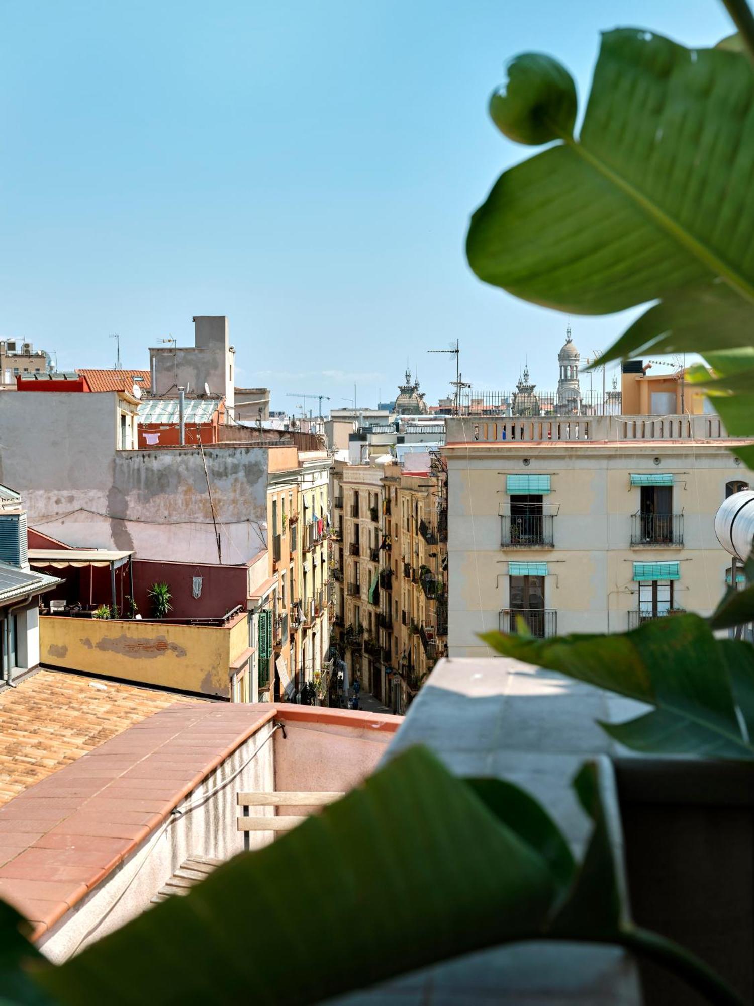 Apartament typu Junior Suite z tarasem