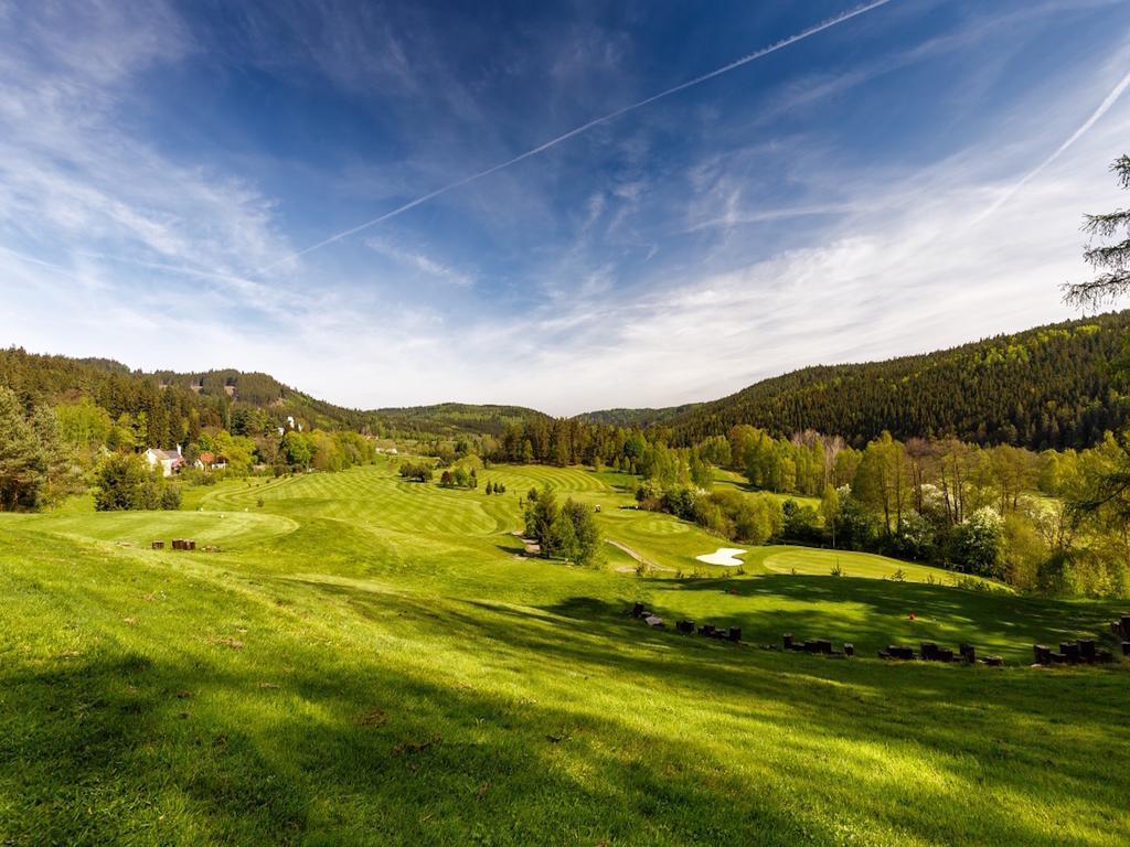 Special Offer - Superior Double Room with Balcony and Forest View with Spa Package
