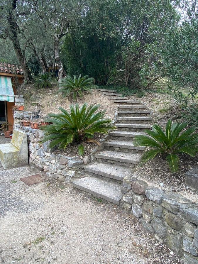 Standard One-Bedroom Apartment
