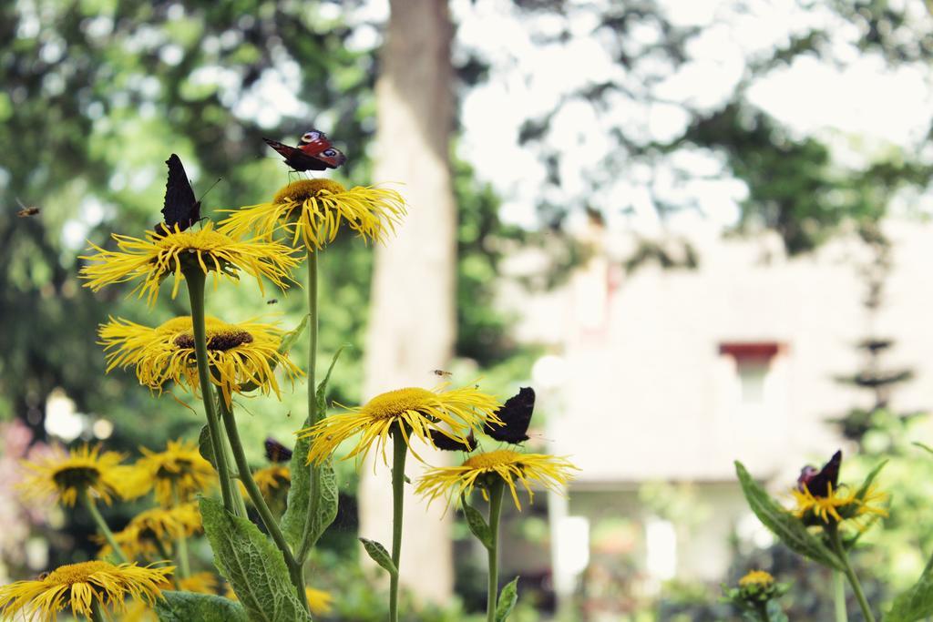 Double or Twin Room with Terrace,211246841:JPEG