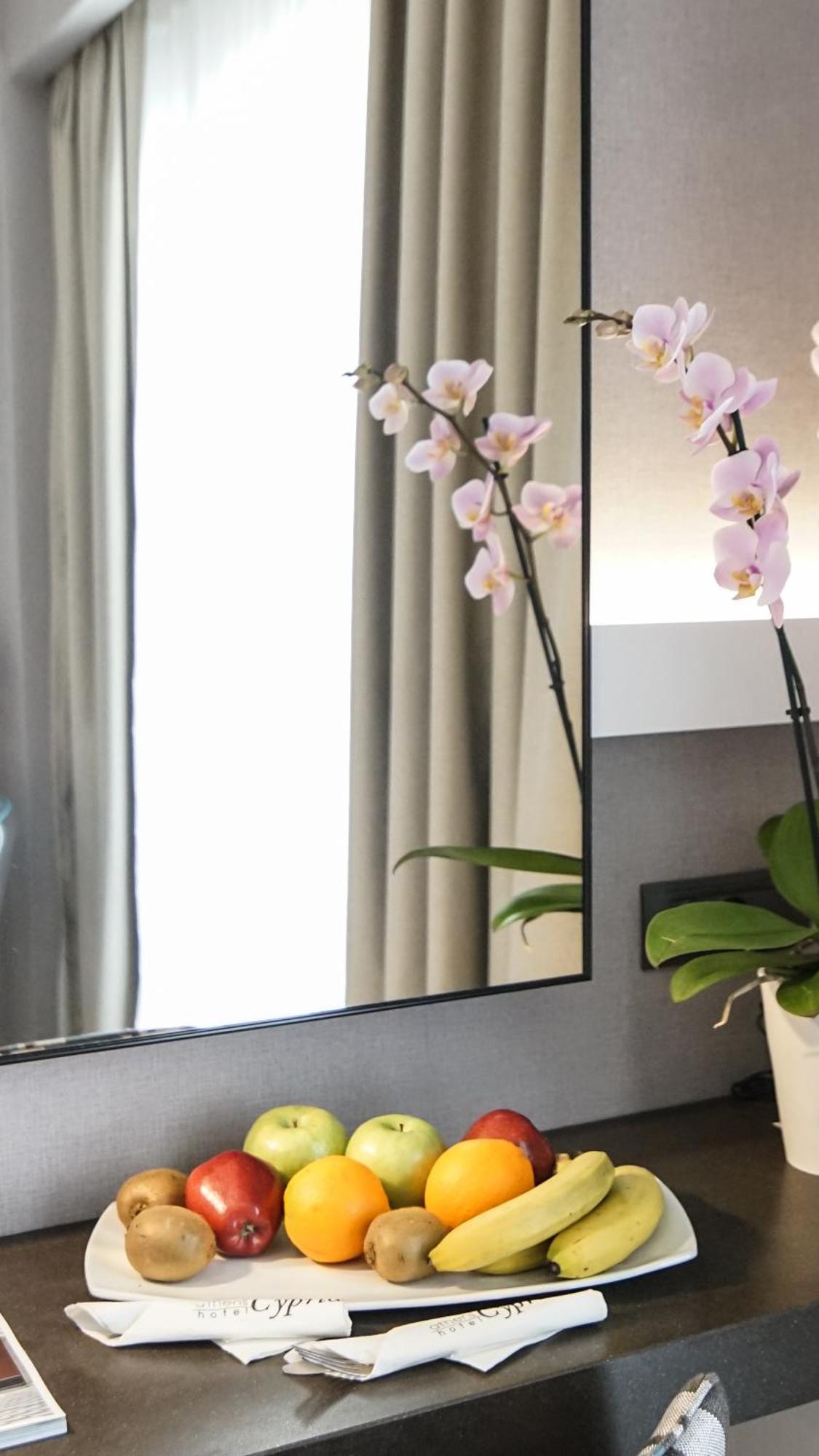 Executive Double or Twin Room