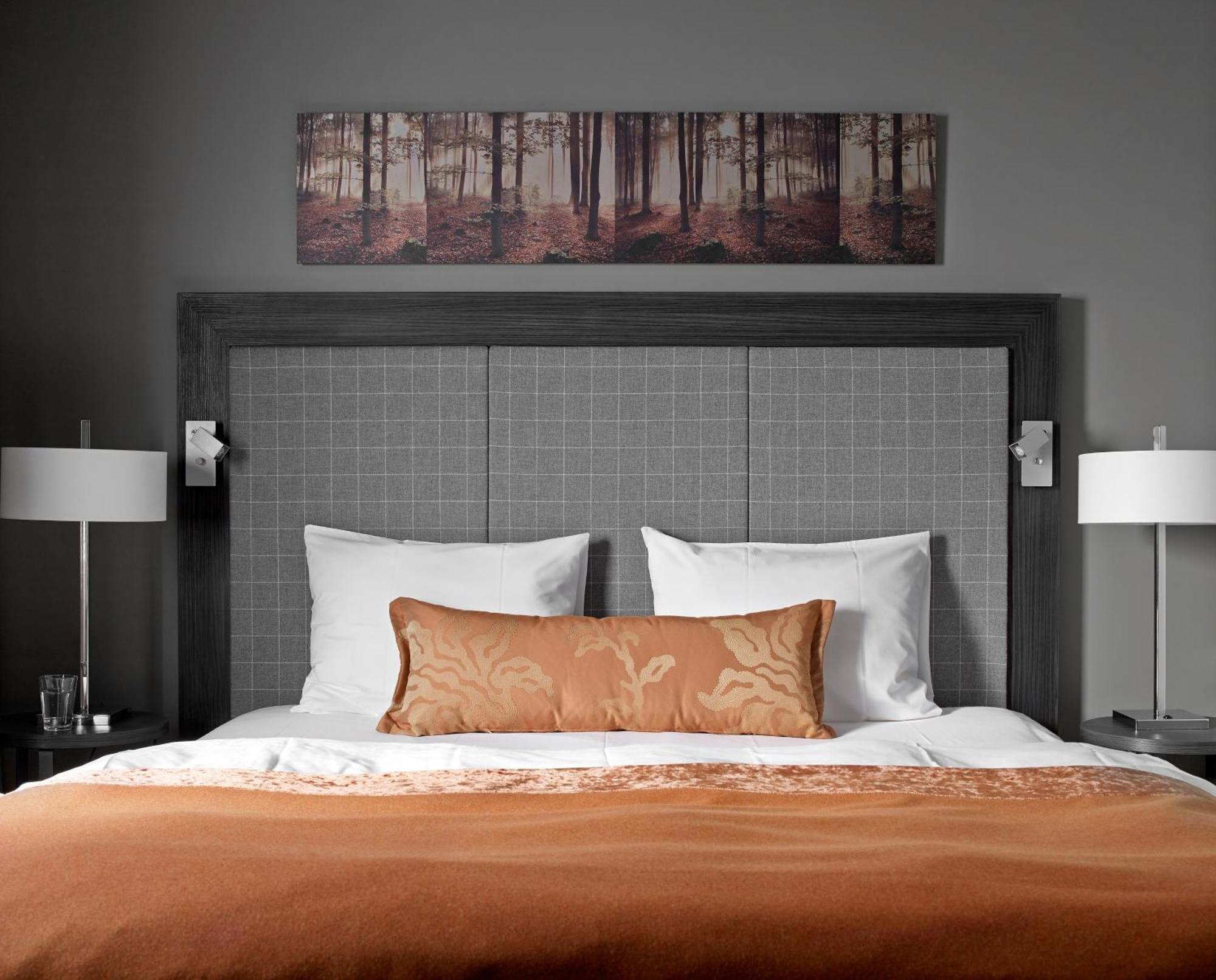 Superior Double Room Mountain View