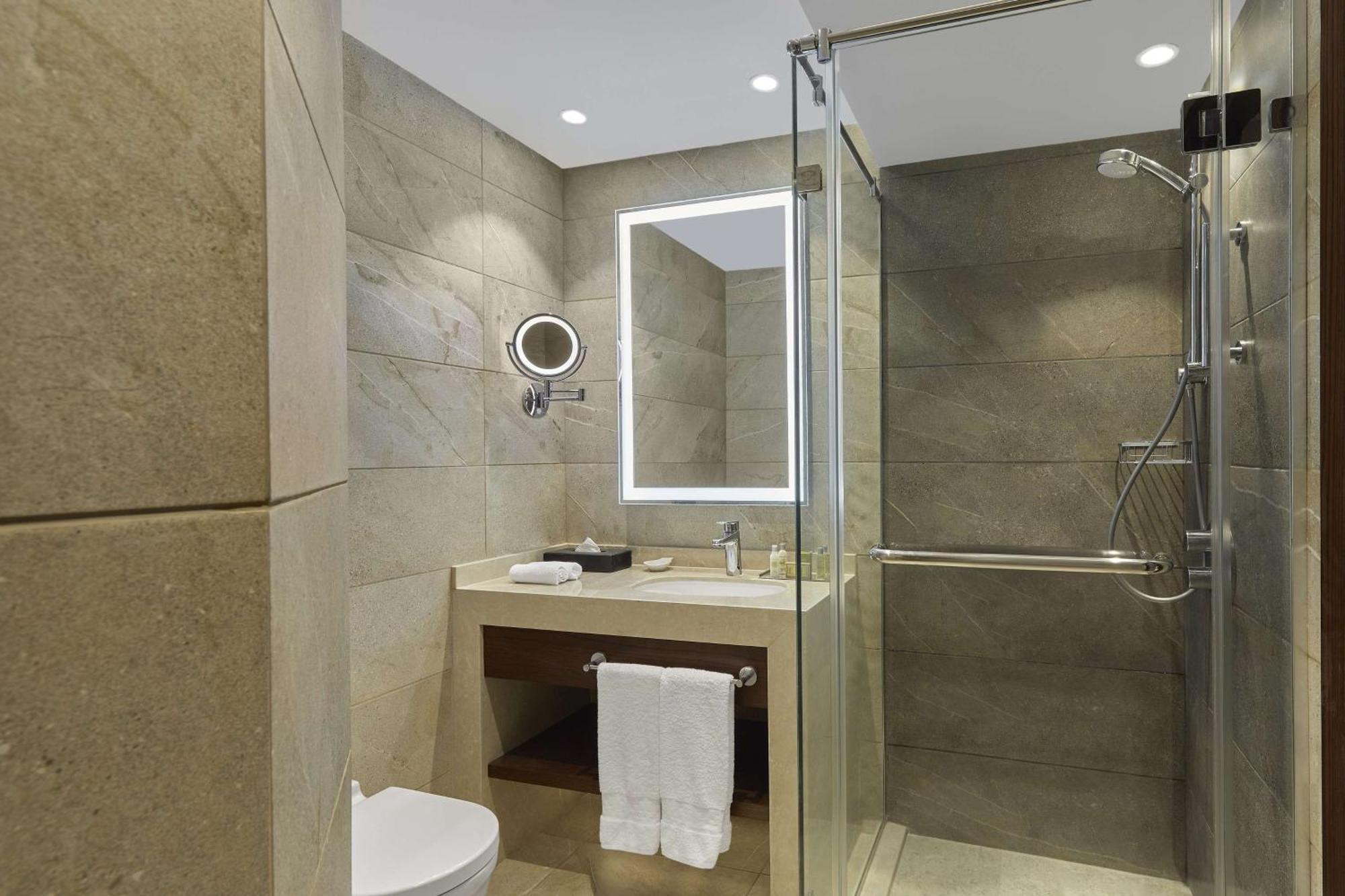 King Executive Room Nile View