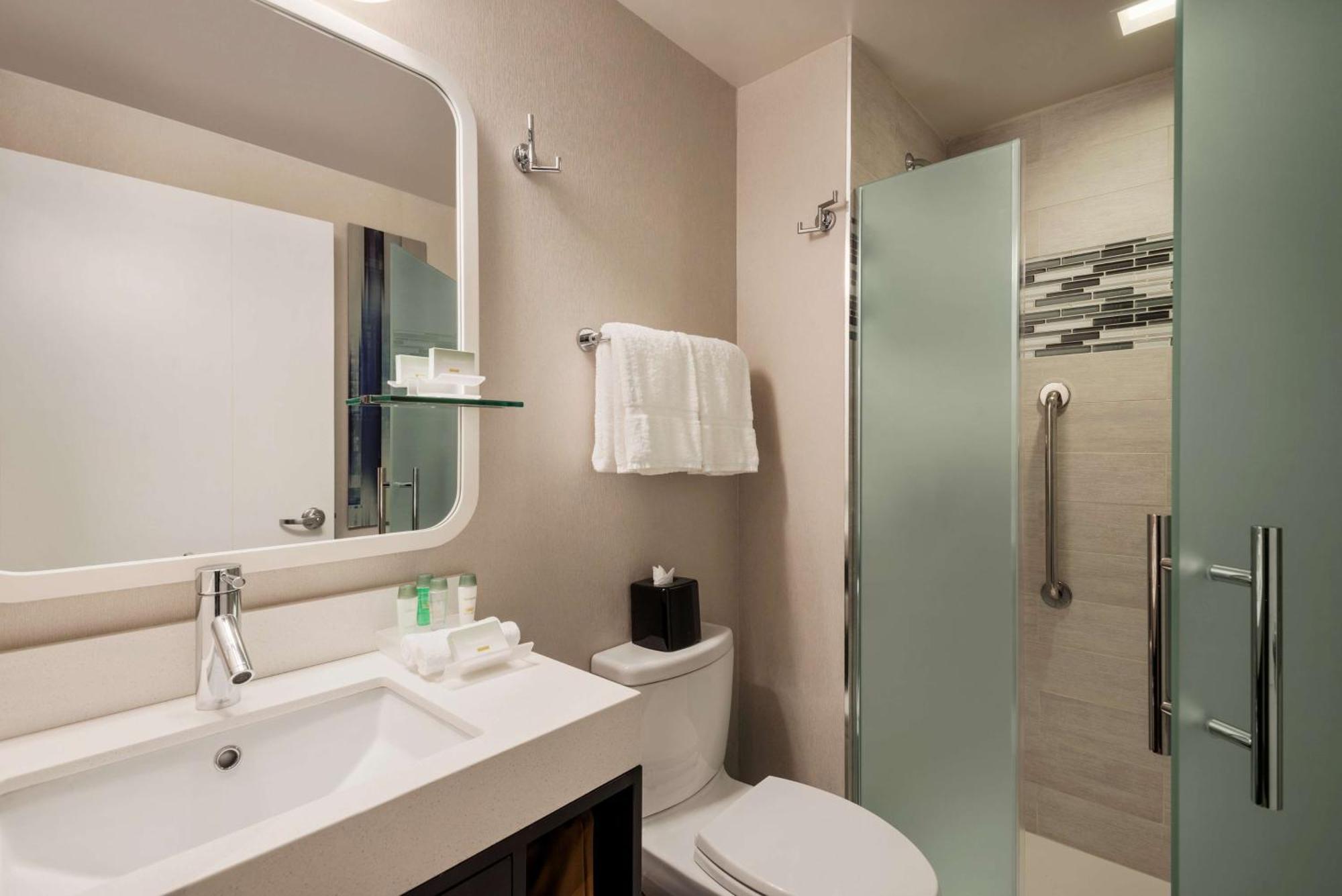 Apartament typu Studio z łóżkiem typu king-size oraz widokiem na miasto