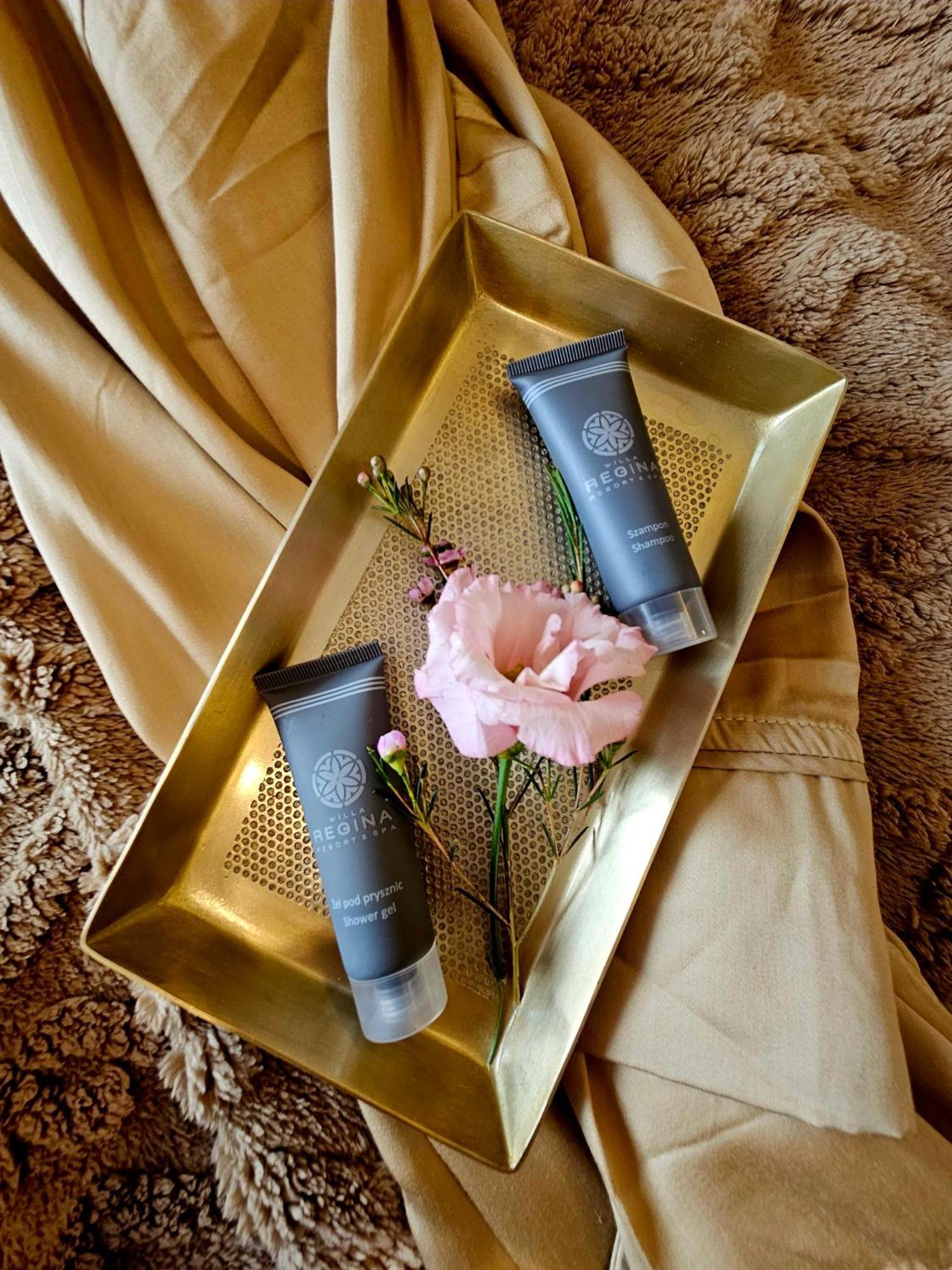 Premium Studio with balcony and mountain view no. 21,1567117196:JPEG