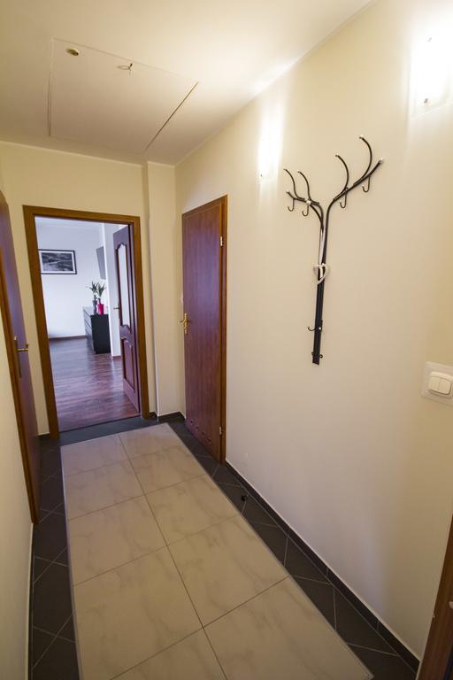 Studio z rozkładaną sofą