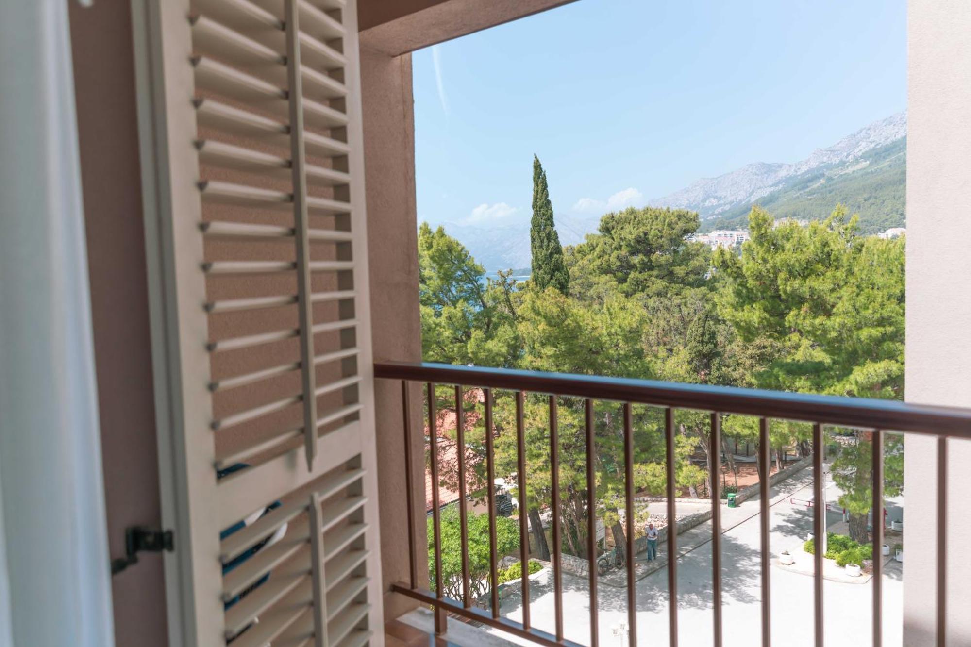 Standard Single Room Mountain View