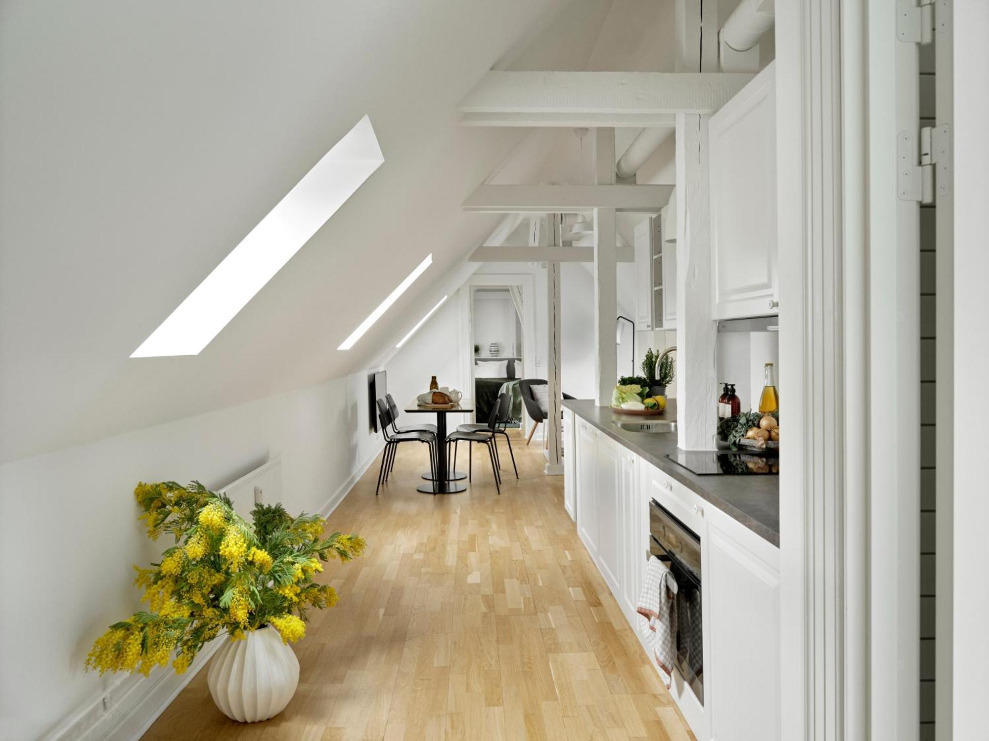 Two-Bedroom Loft without elevator 5th Floor
