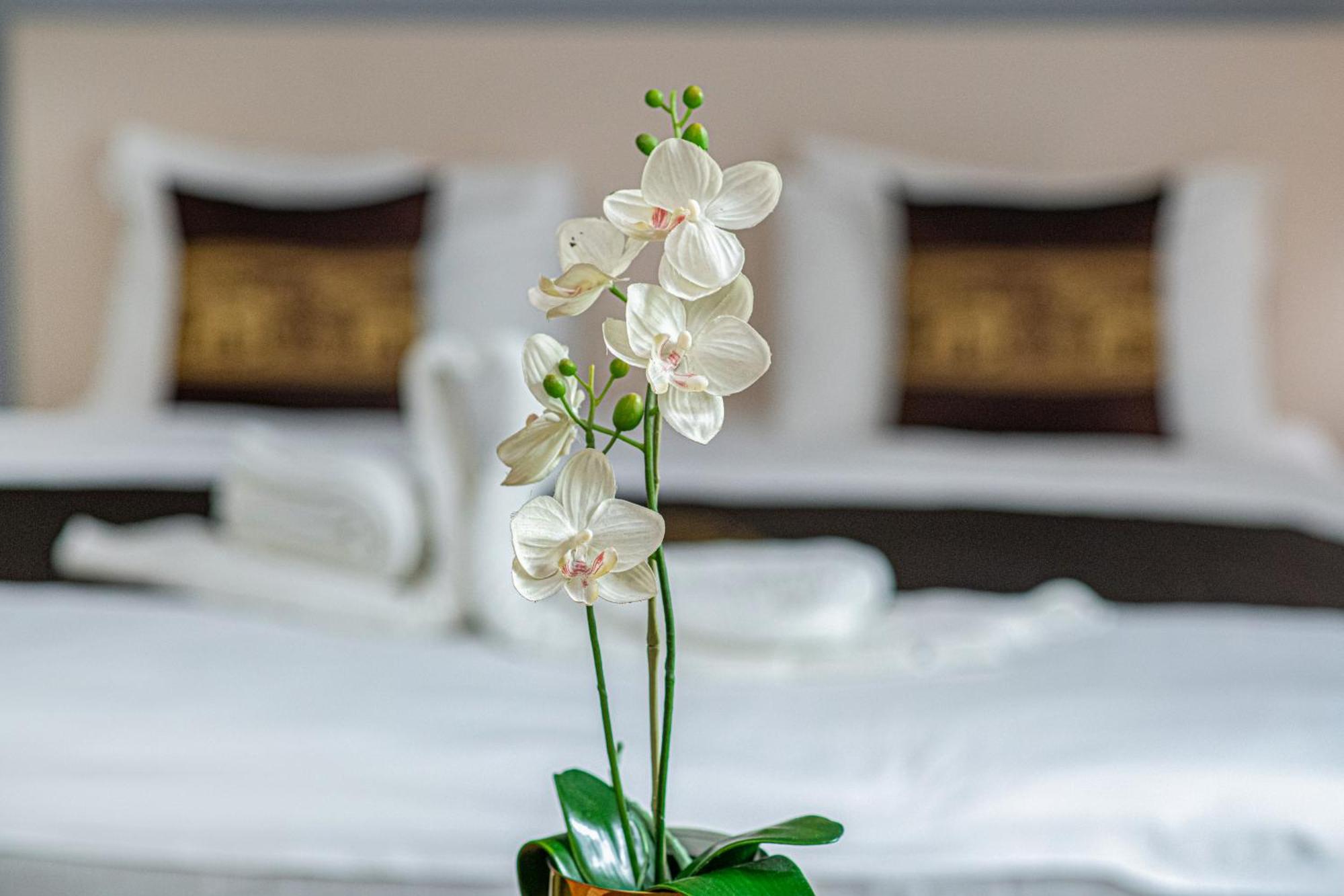 Apartament typu Suite