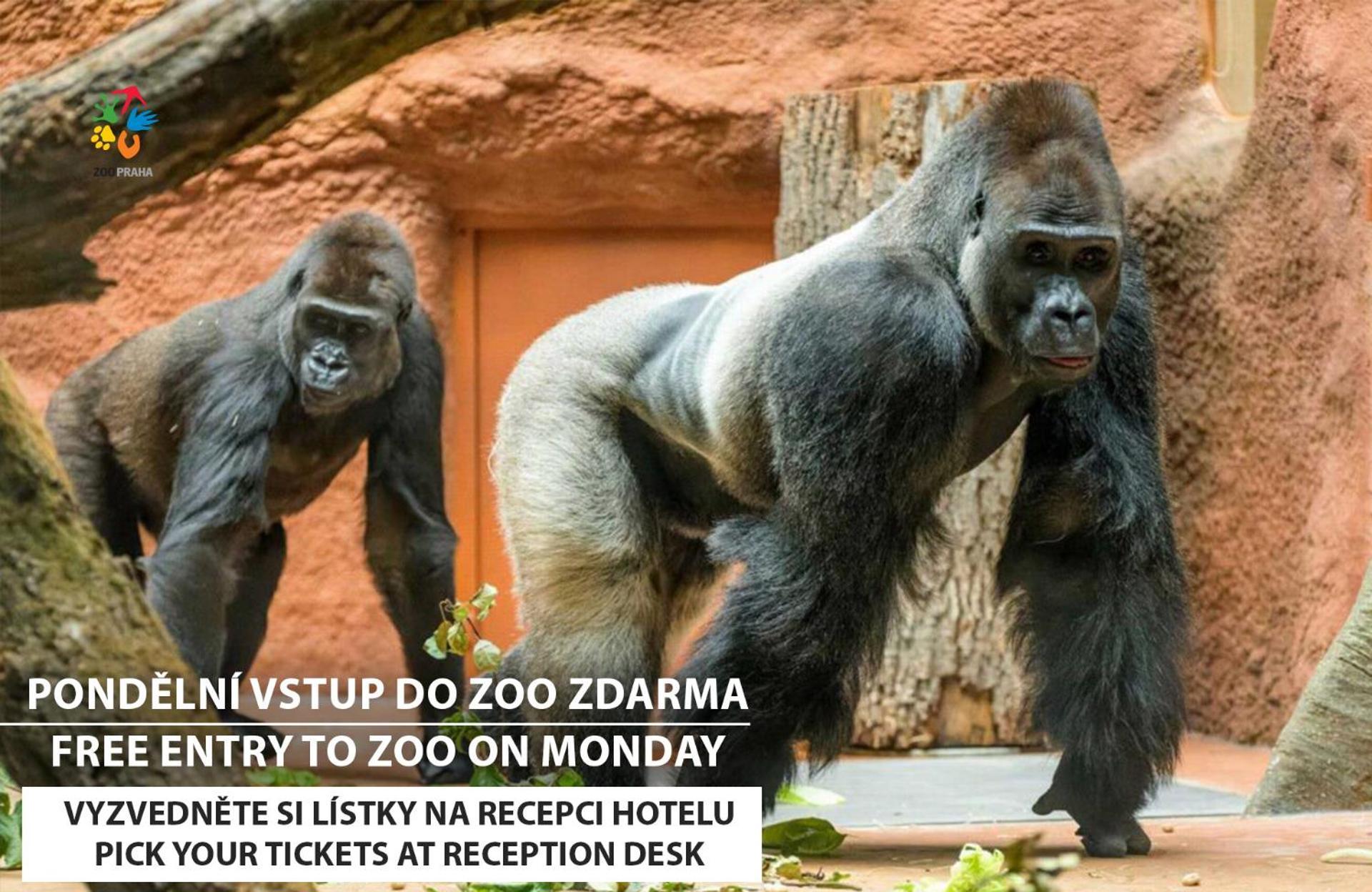 Pokój typu Standard z bezpłatnym wstępem do ogrodu zoologicznego