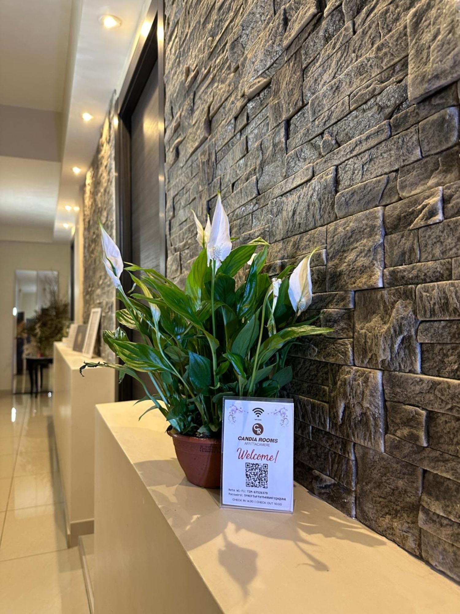 Superior Double Room,1624792391:JPEG