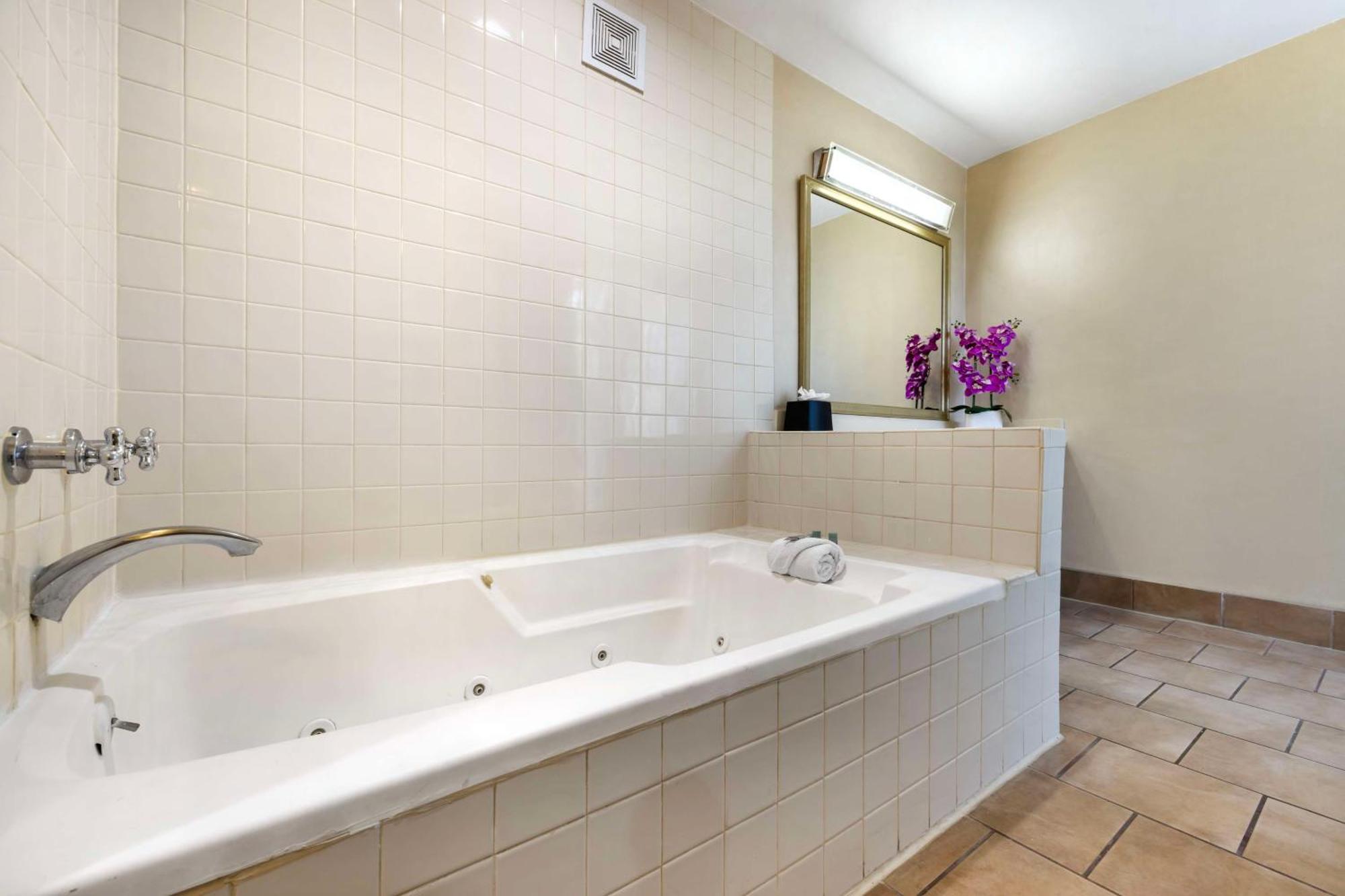 Apartament typu Suite z łóżkiem typu queen-size i rozkładaną sofą - dla niepalących