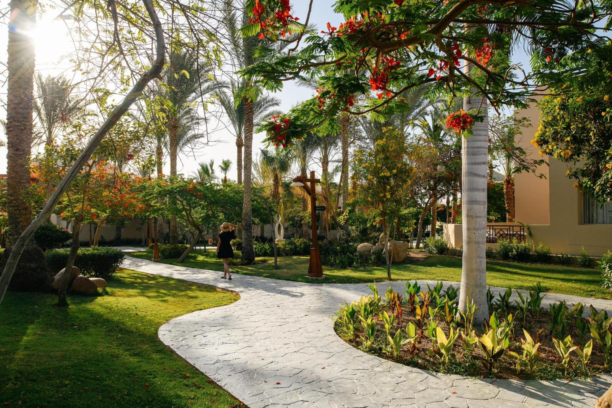 Superior Queen or Twin Room Garden View