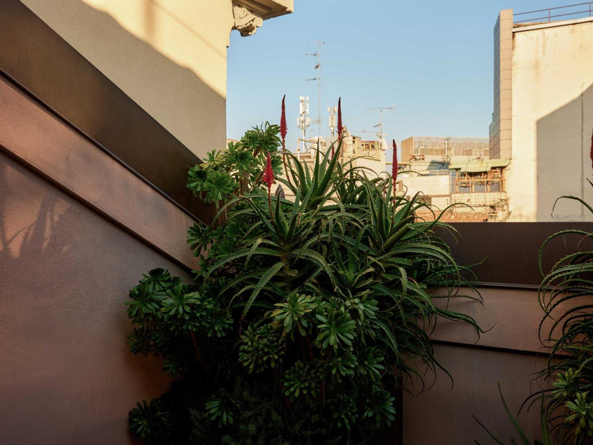 Apartament typu Junior Suite