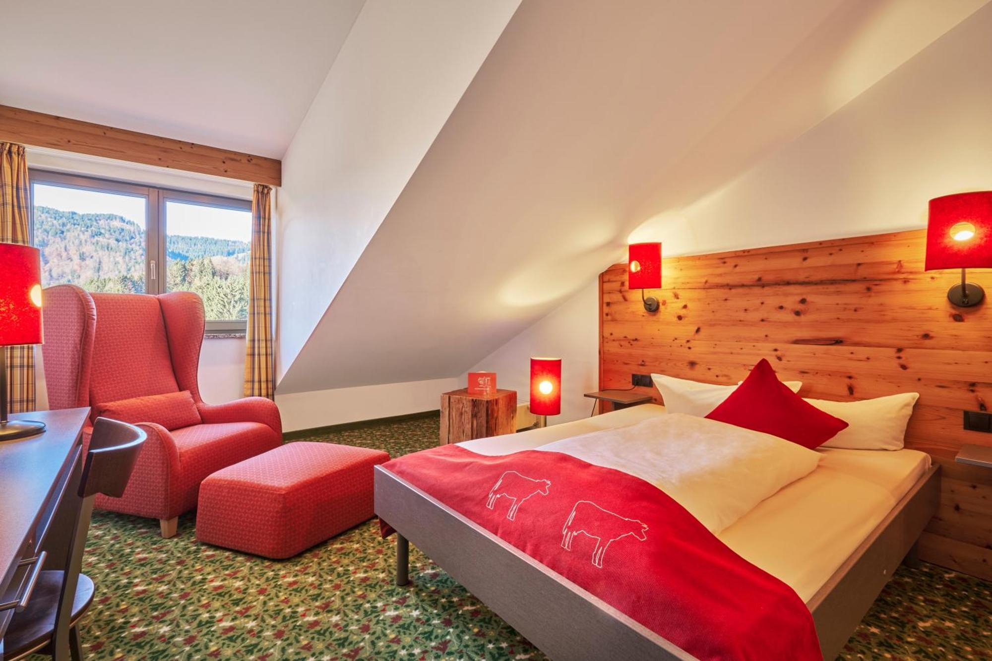 Superior Single Room