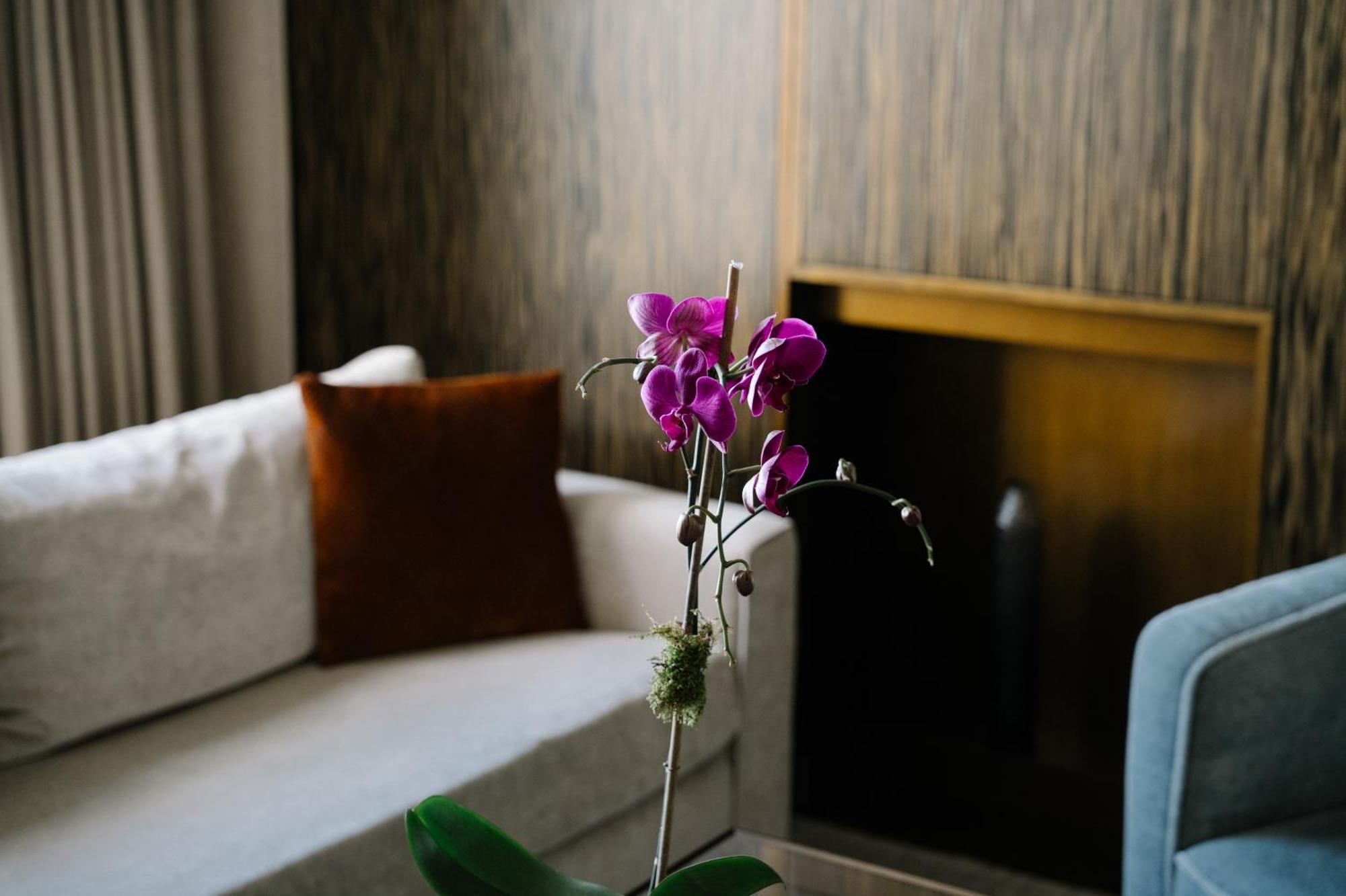 Apartament typu Suite z 2 sypialniami i widokiem na SoHo