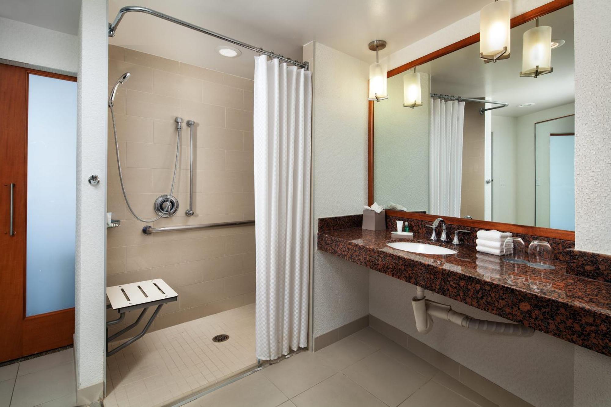 Apartament typu Suite z 1 sypialnią, łóżkiem typu king-size i widokiem na miasto – wieża Green