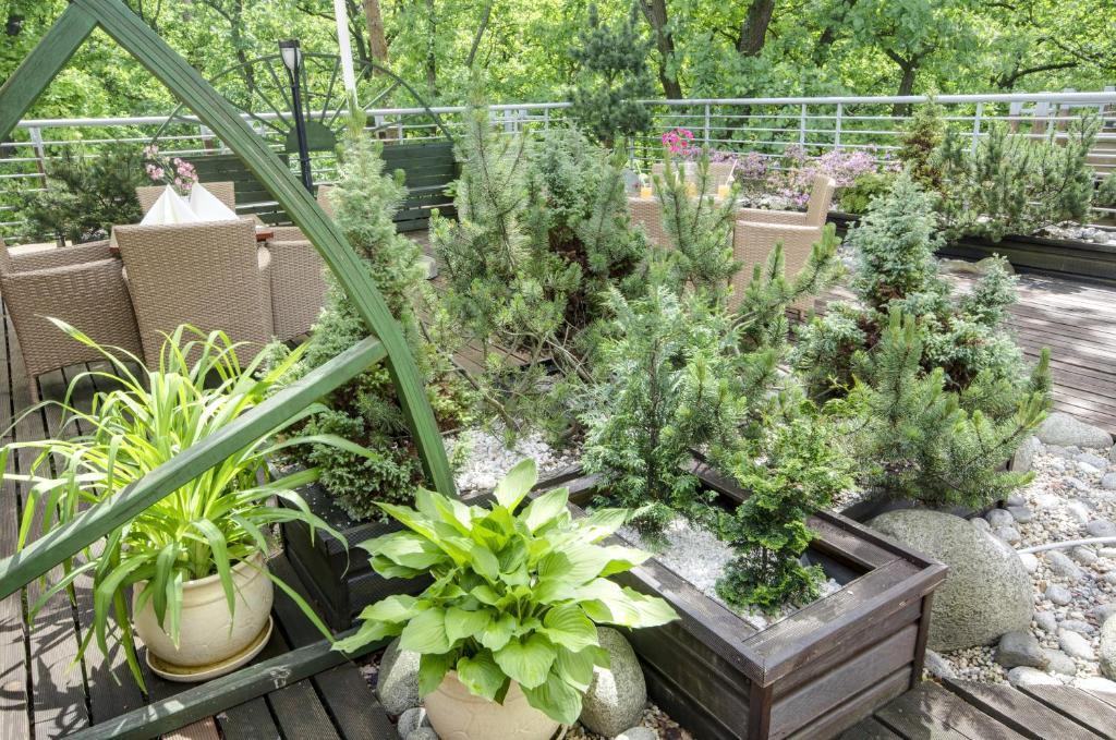 Penthouse,696578709:JPEG