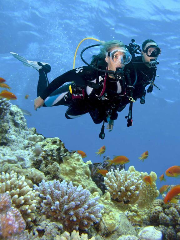 PADI – kurs nurkowania na otwartych wodach