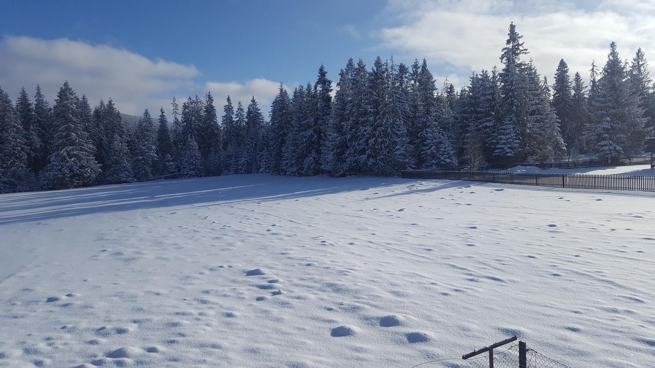 Pokój trzyosobowy