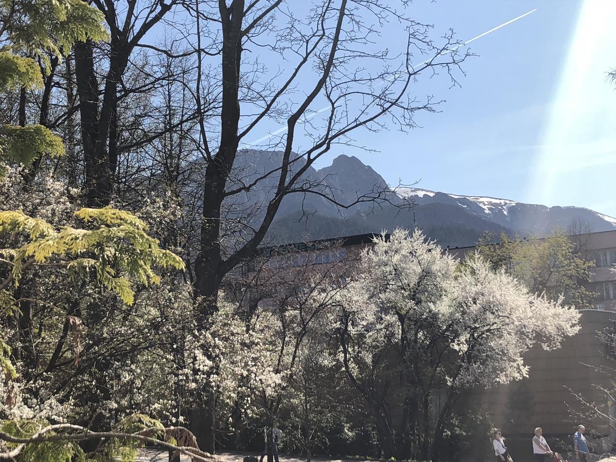 Double or Twin Room,1529316604:JPEG