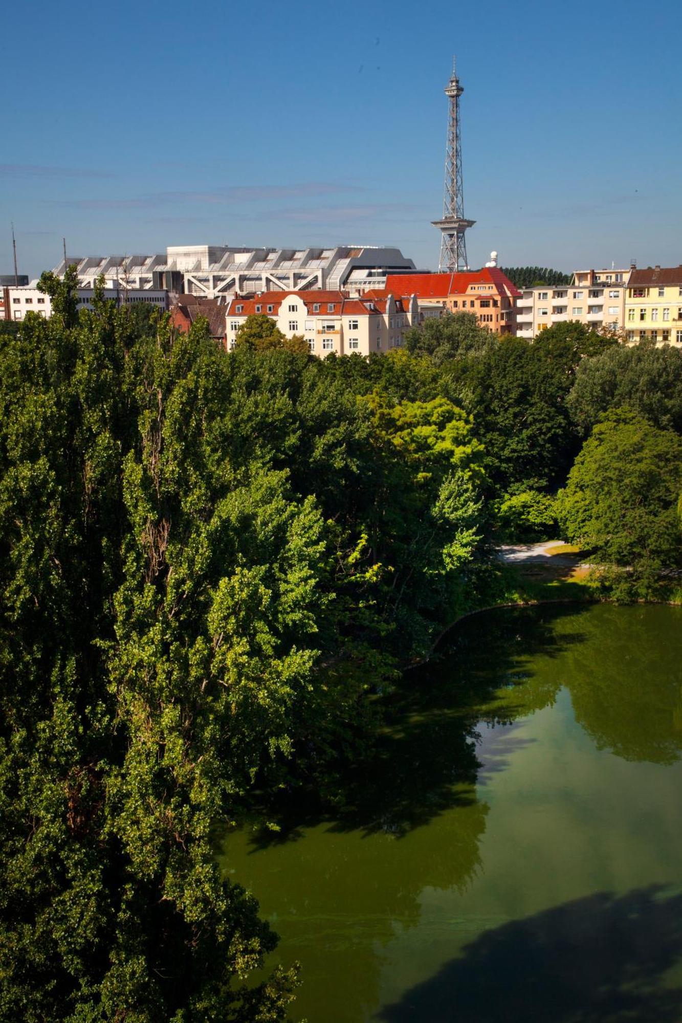 Apartament typu Suite z widokiem na jezioro