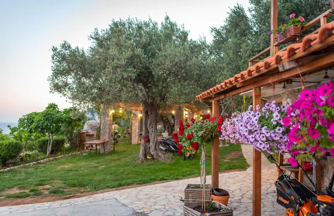 Holiday Park Olive Tree-1