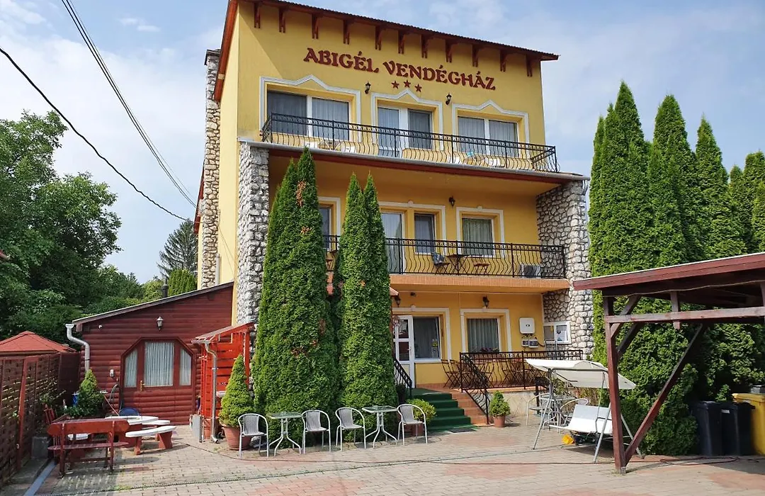 Abigel Vendeghaz-1
