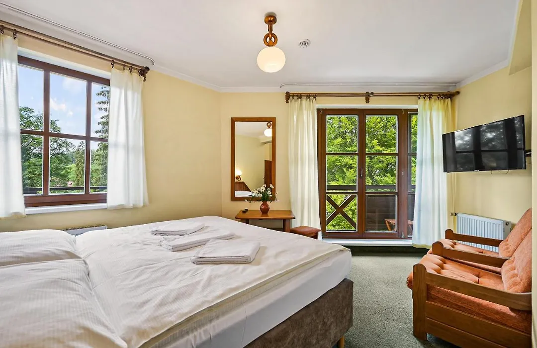 David Wellness Hotel-1