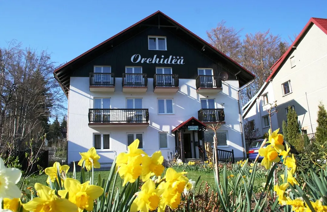 Orchidea-1