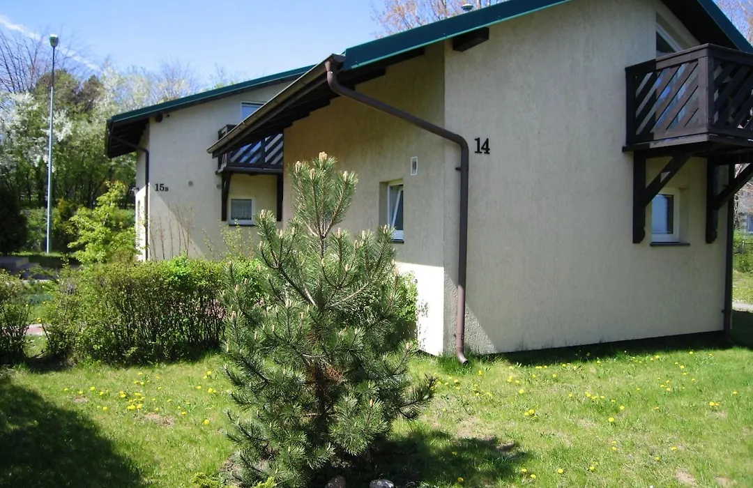 Róża Wiatrów-1