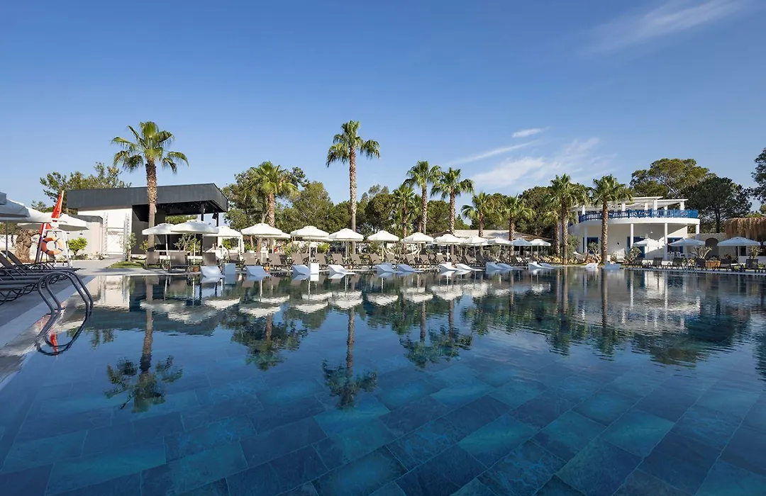 Berry Blue Hotels-1