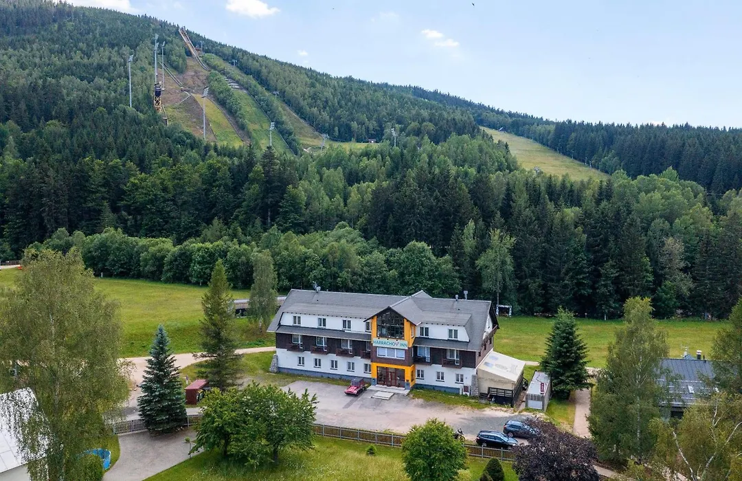 Hotel Harrachov Inn-1