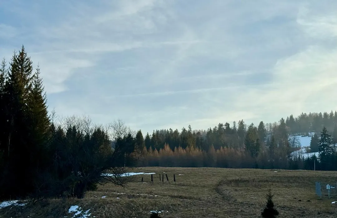 Pensjonat Leśniczówka Zieleniec-1