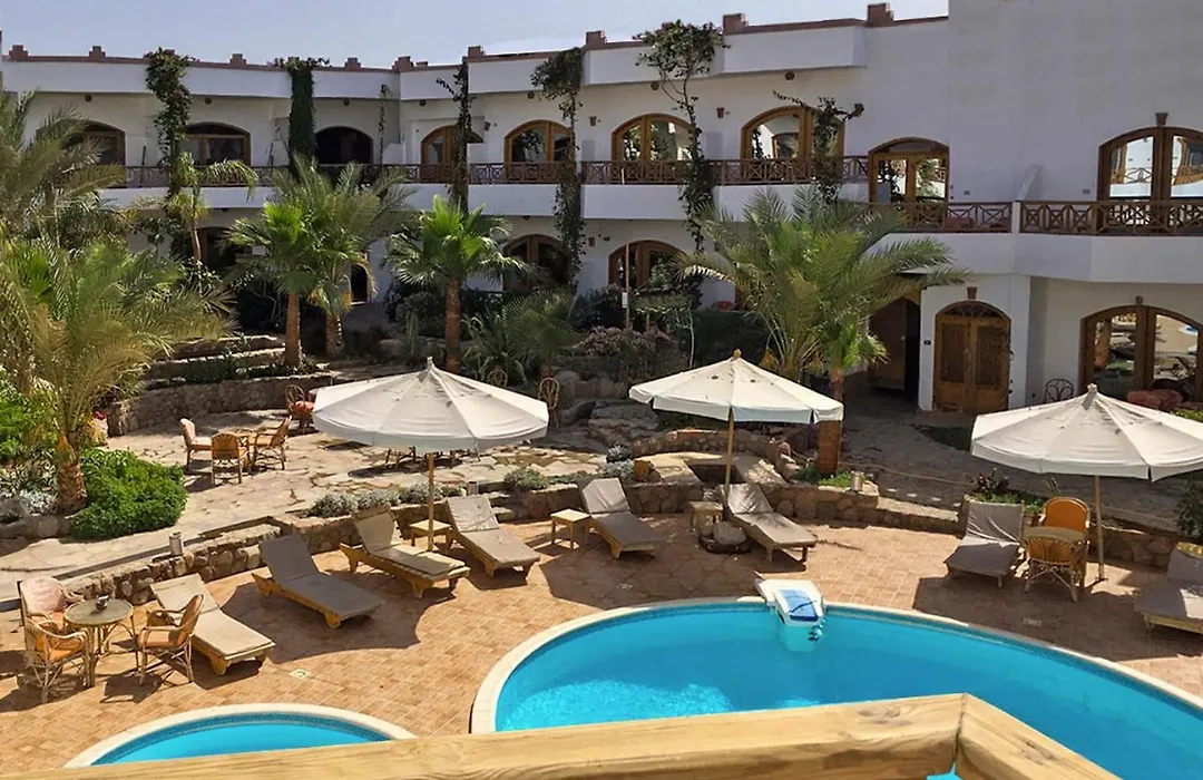 Red Sea Relax Hotel-1