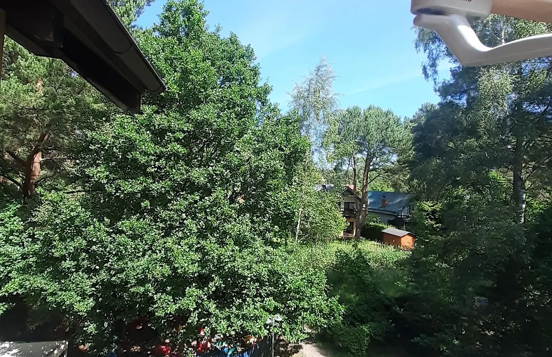 Zagajnik-1