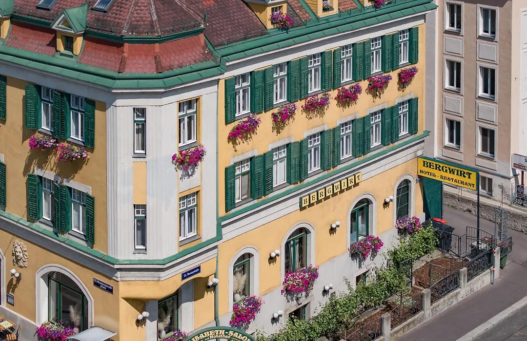 Hotel Bergwirt Schoenbrunn-1