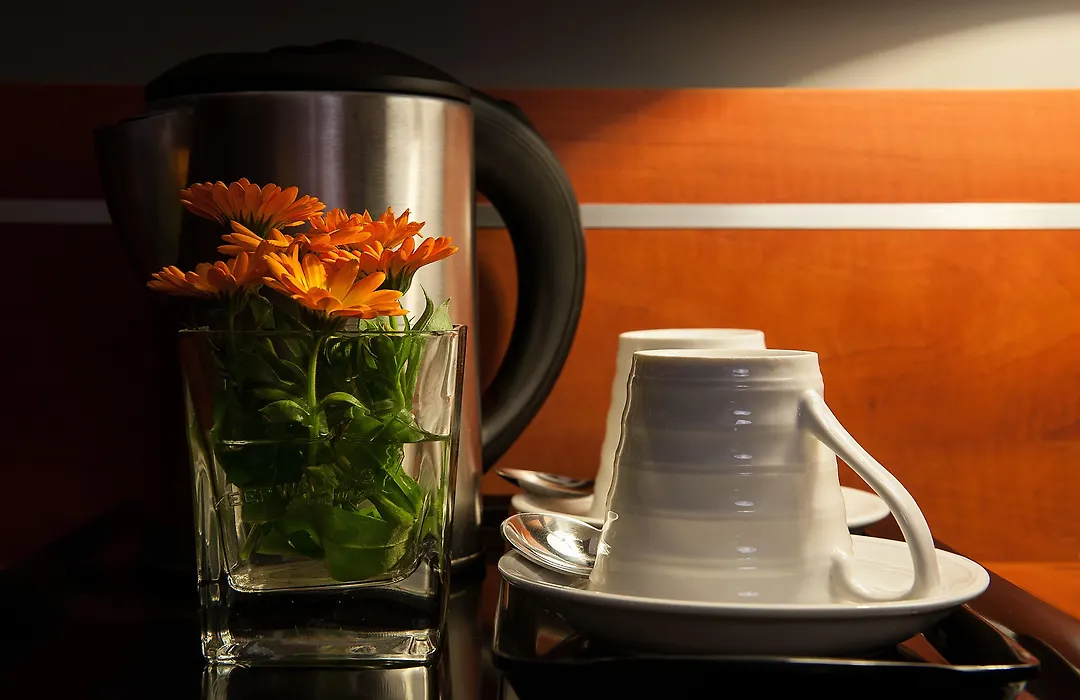 Best Western Hotel Trybunalski-1