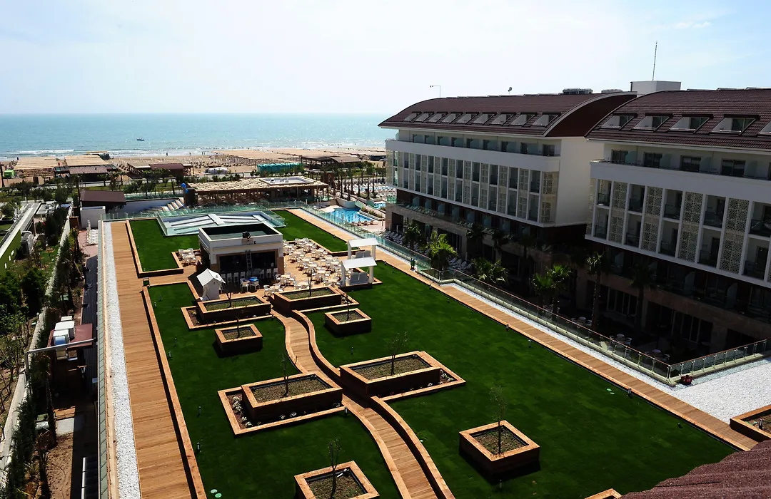 Trendy Verbena Beach-1