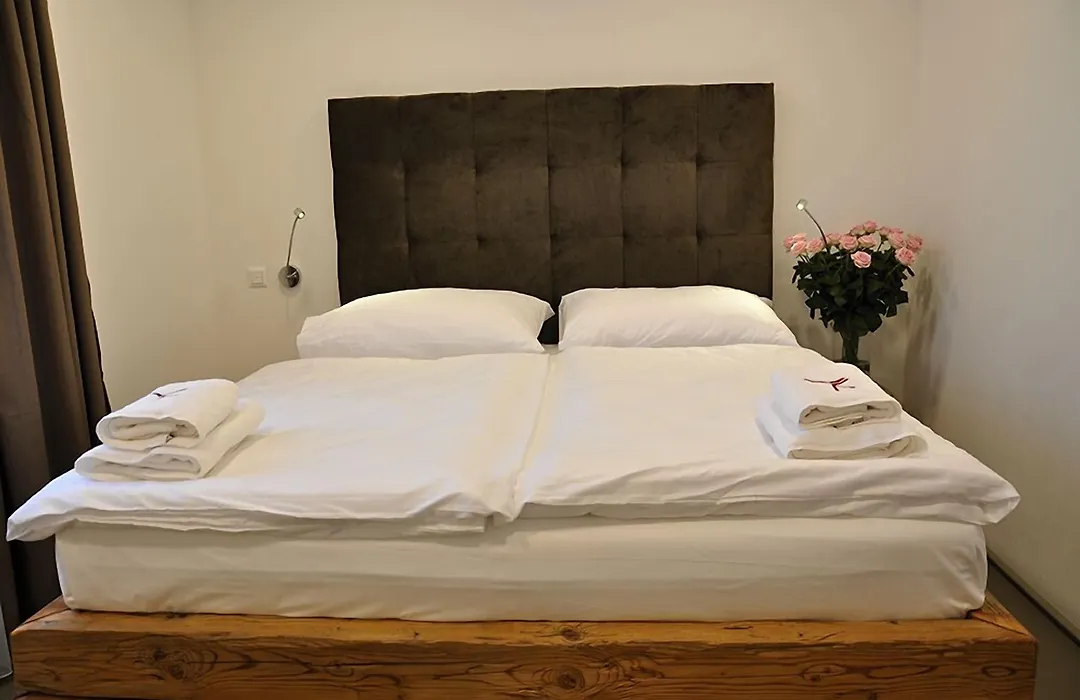 Hotel Ryzlink-1