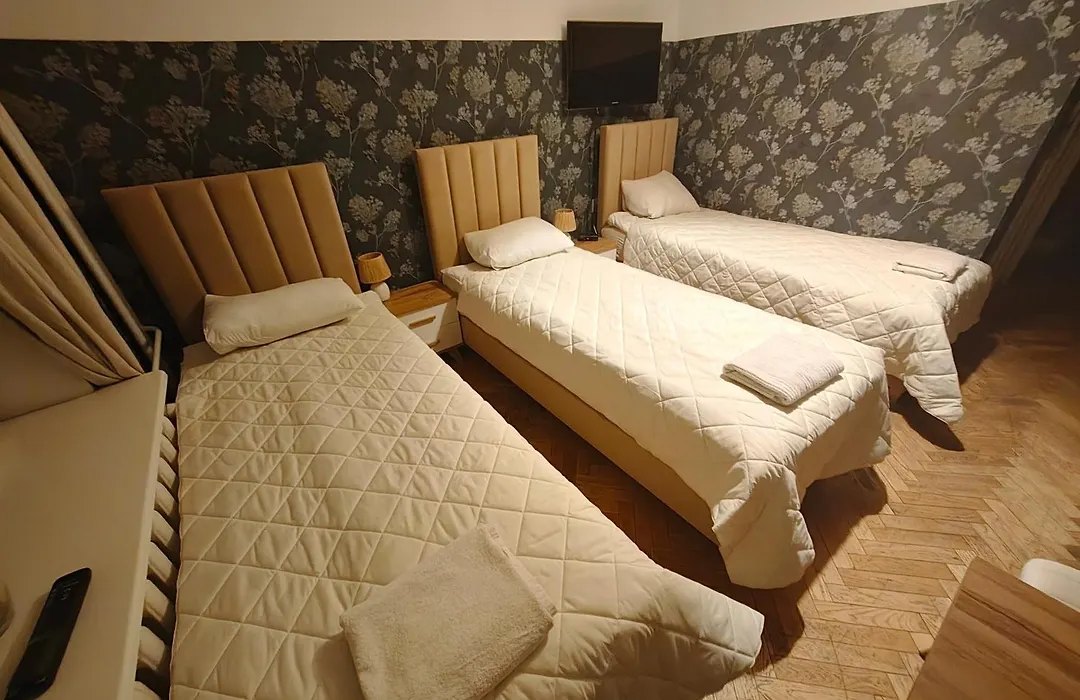 Vistula City-1