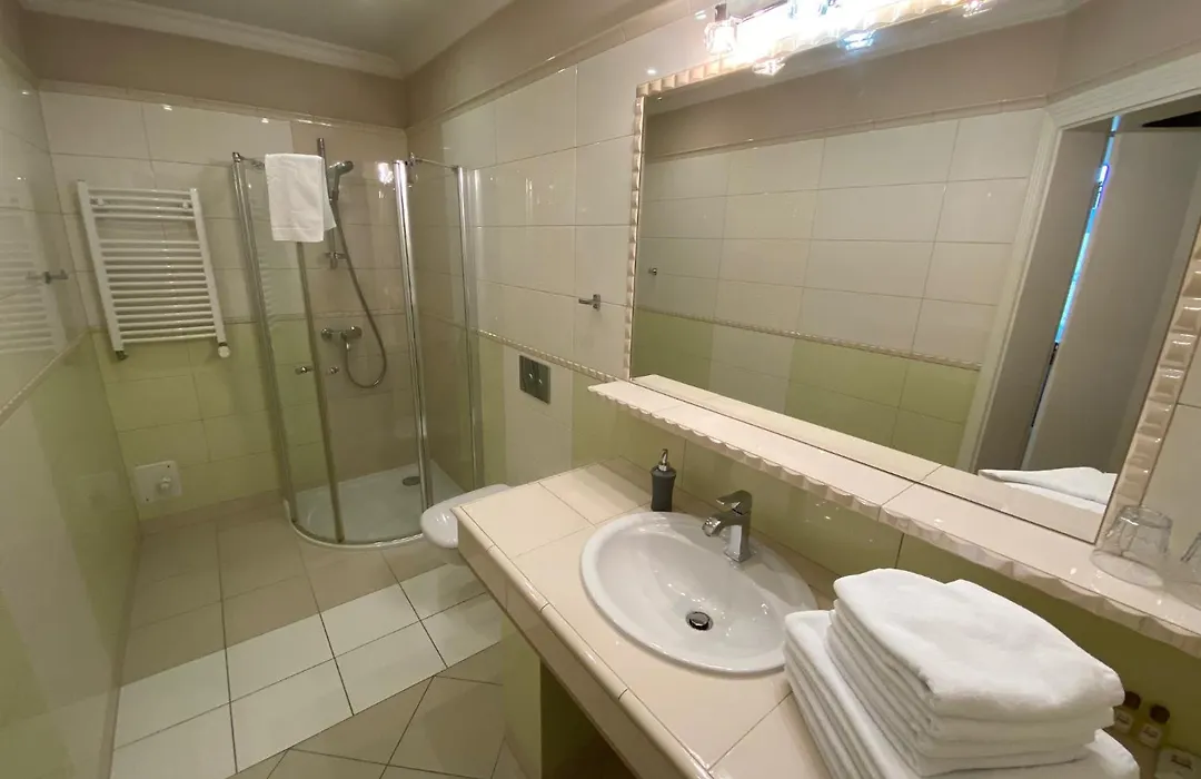 Hotel Pałac Borynia-1