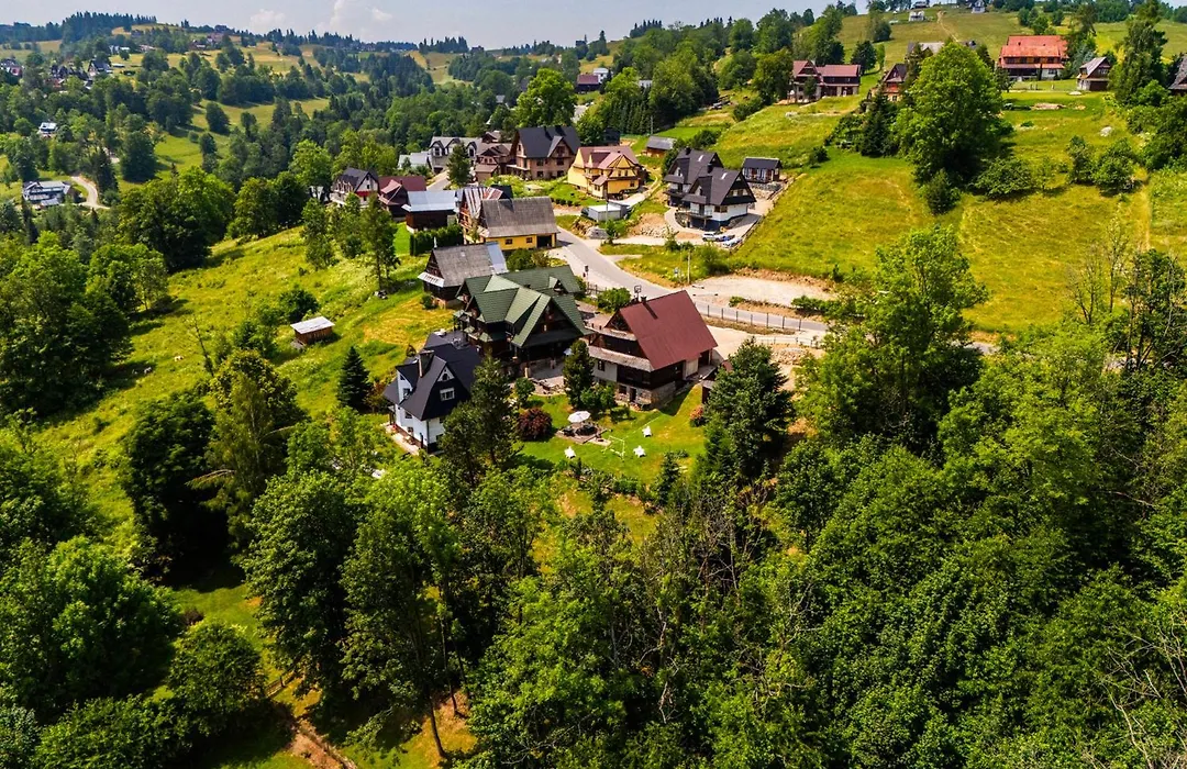 Willa owca czarna-1