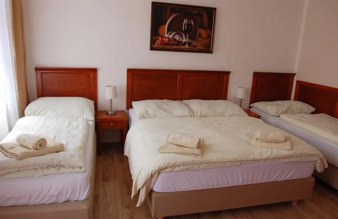 Hotel Aurelius Mikulov-1