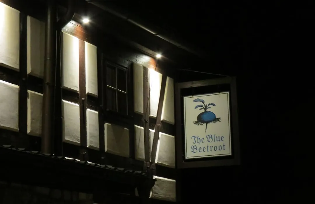 The Blue Beetroot-1