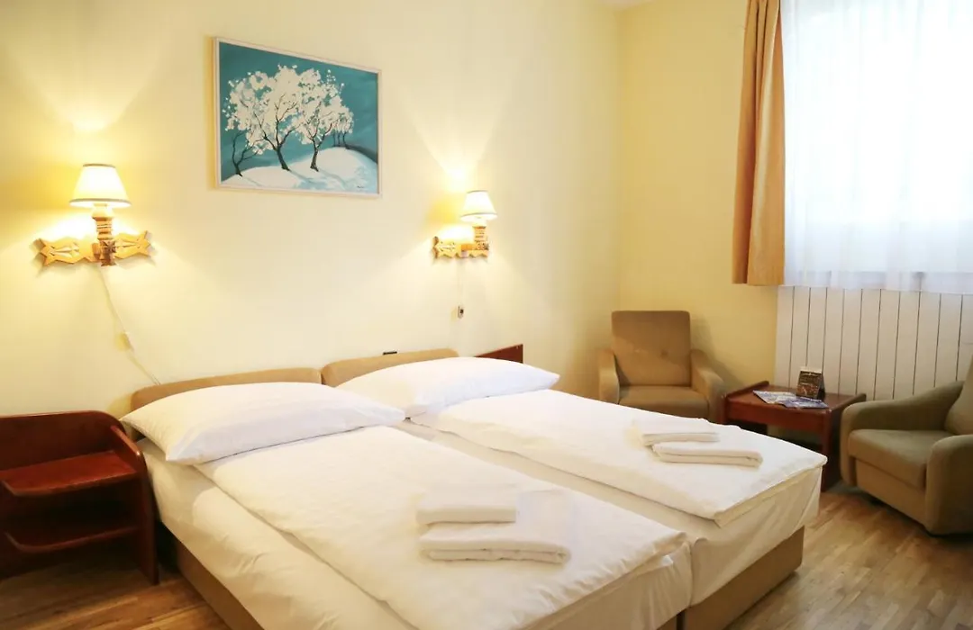 Hotel Bara Gellert-1