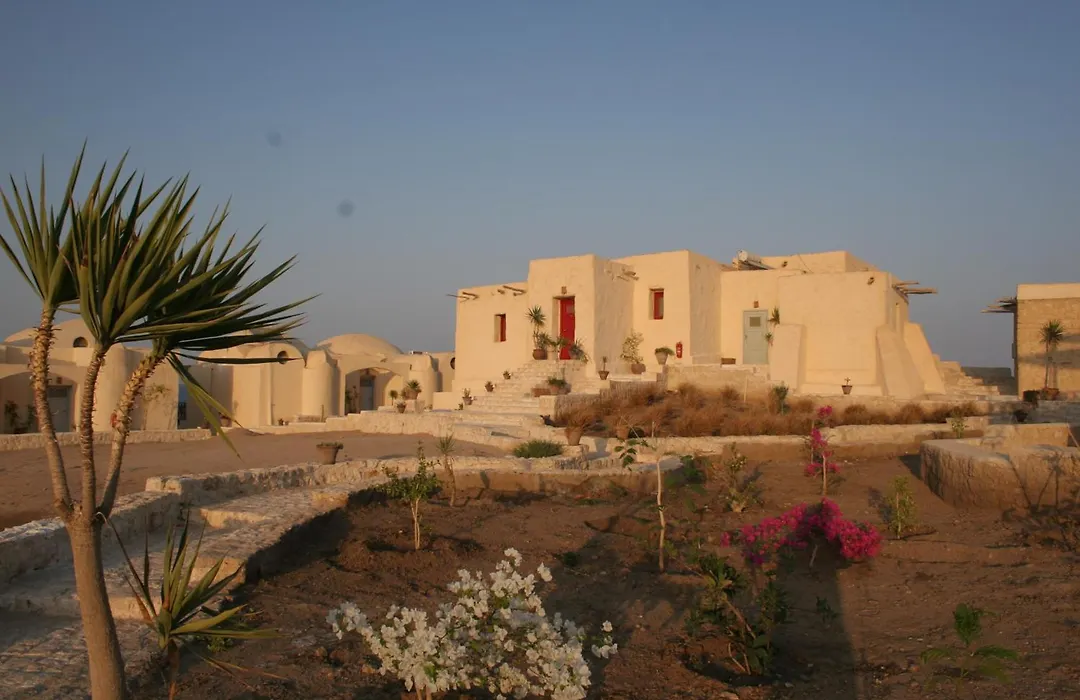 The Oasis-1