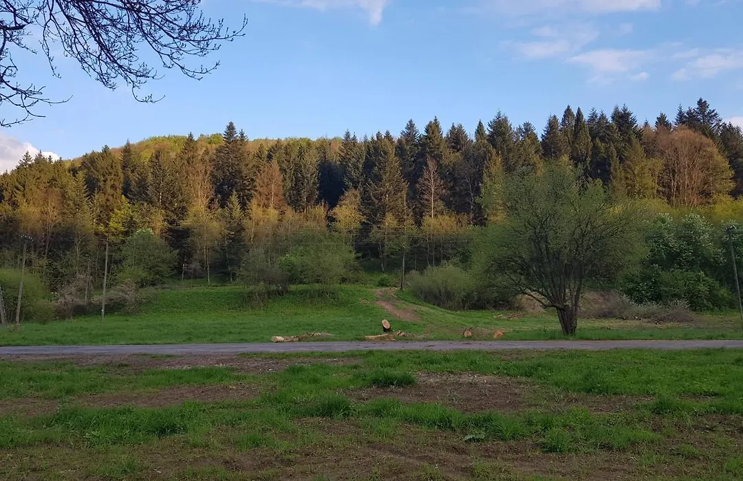 Domki u Brzeginy-1